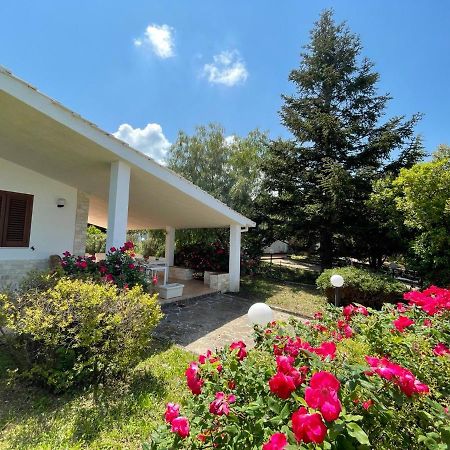 Rose Country Villa Cassano delle Murge Luaran gambar