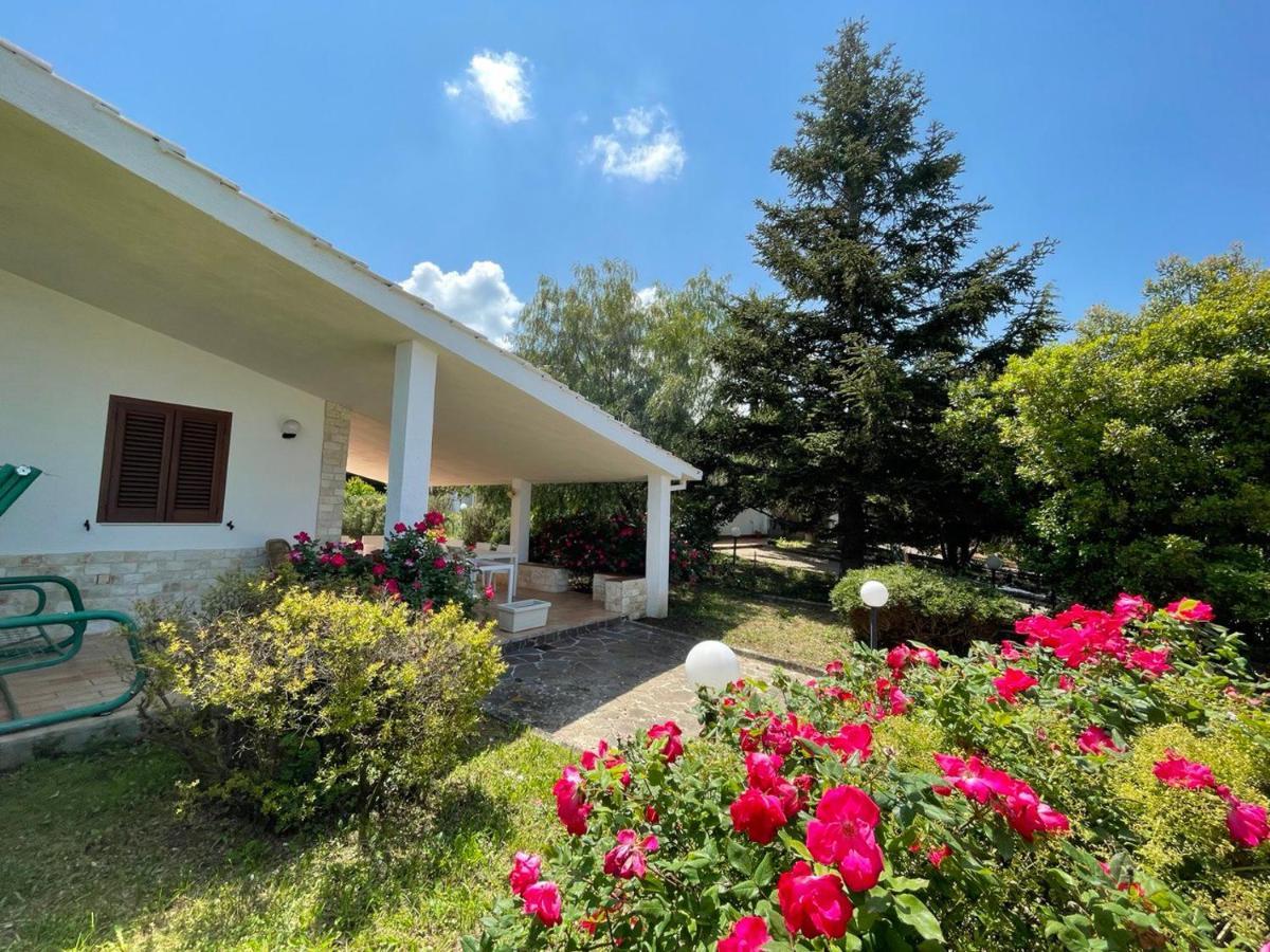 Rose Country Villa Cassano delle Murge Luaran gambar