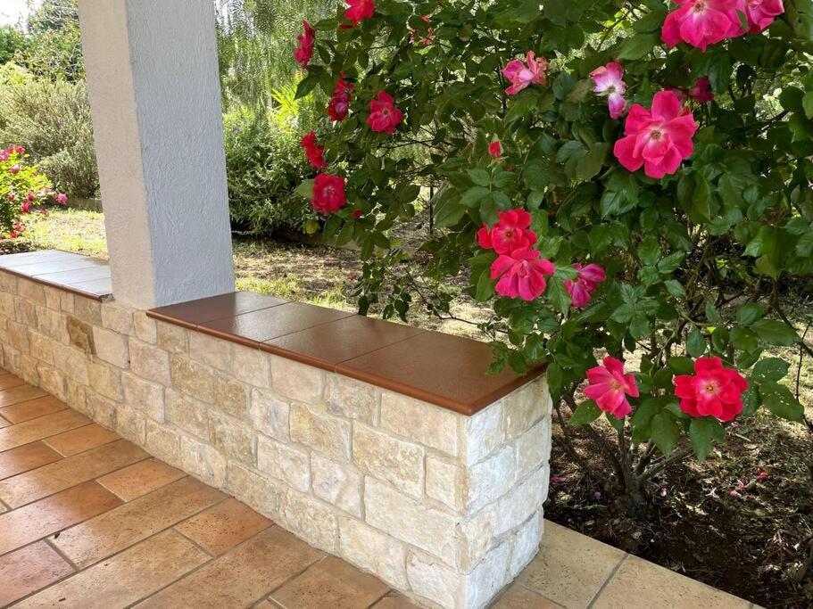 Rose Country Villa Cassano delle Murge Luaran gambar